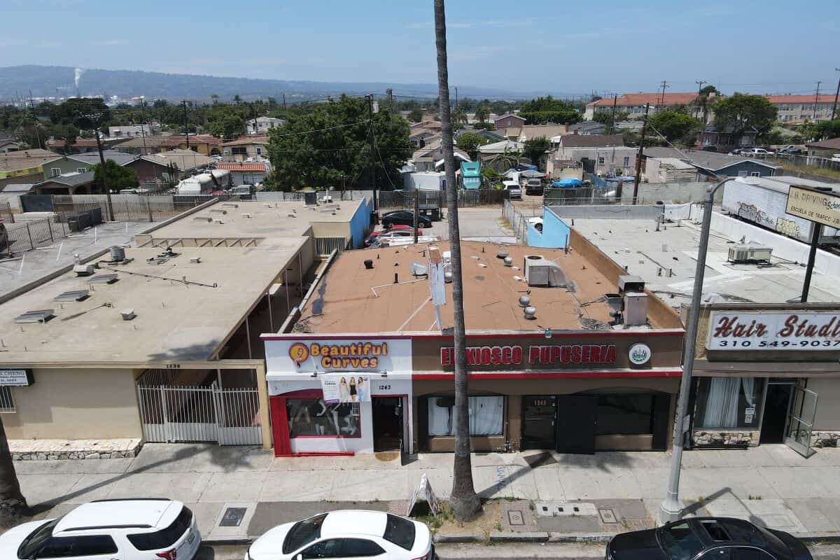 1241 N Avalon Blvd — aerial view